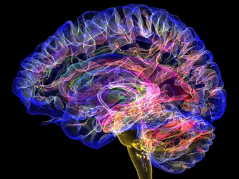 色色操大脑植入物有助于严重头部损伤恢复